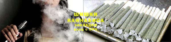 дживик Инта