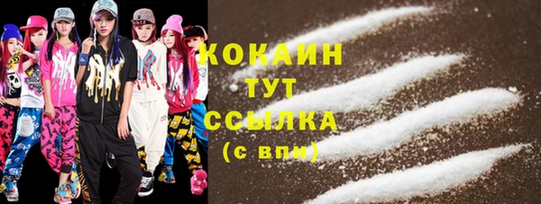 дживик Снежногорск