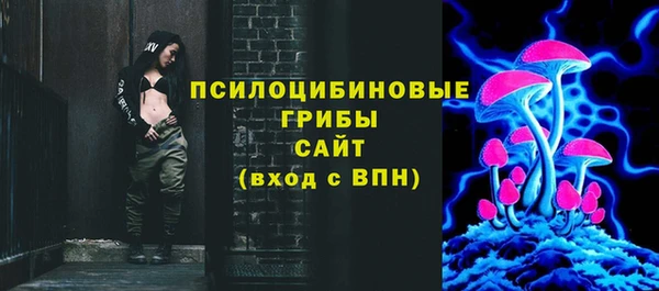 дживик Нижний Тагил