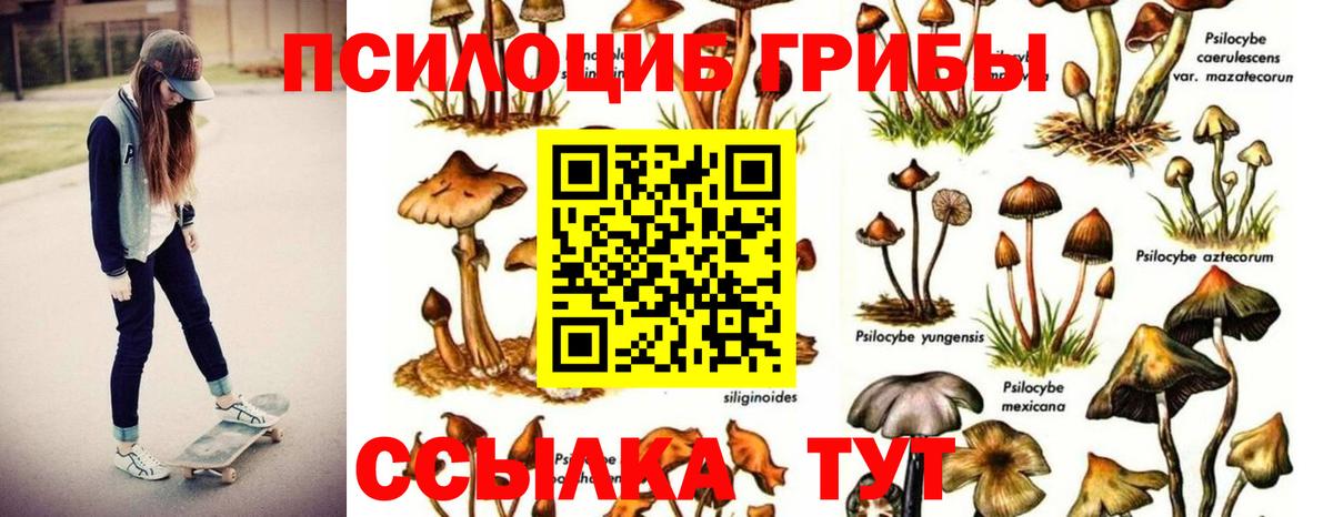 Псилоцибиновые грибы ЛСД Кинешма